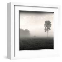 Tree, Study, no. 2-Andrew Ren-Framed Giclee Print