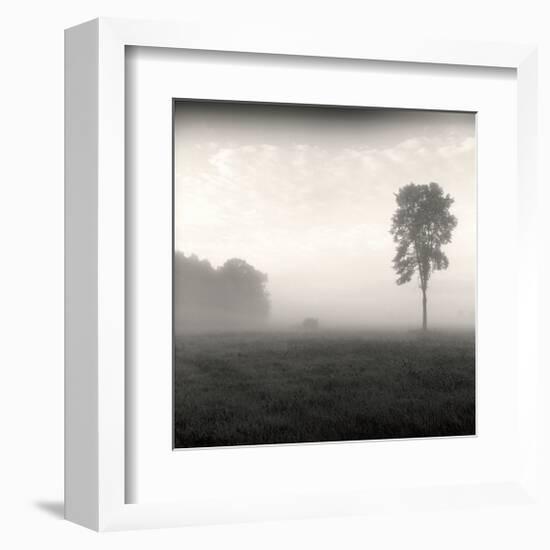 Tree, Study, no. 2-Andrew Ren-Framed Giclee Print