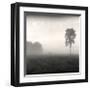 Tree, Study, no. 2-Andrew Ren-Framed Giclee Print