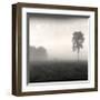 Tree, Study, no. 2-Andrew Ren-Framed Giclee Print