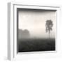 Tree, Study, no. 2-Andrew Ren-Framed Giclee Print