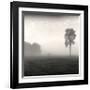 Tree, Study, no. 2-Andrew Ren-Framed Giclee Print