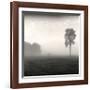 Tree, Study, no. 2-Andrew Ren-Framed Giclee Print