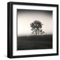 Tree, Study, no. 3-Andrew Ren-Framed Giclee Print