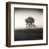 Tree, Study, no. 3-Andrew Ren-Framed Giclee Print