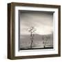 Tree, Study, no. 4-Andrew Ren-Framed Giclee Print