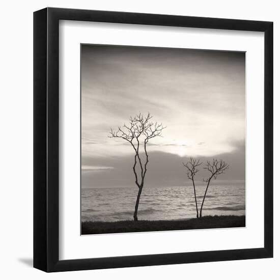 Tree, Study, no. 4-Andrew Ren-Framed Giclee Print