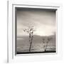 Tree, Study, no. 4-Andrew Ren-Framed Giclee Print