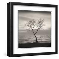 Tree, Study, no. 5-Andrew Ren-Framed Giclee Print