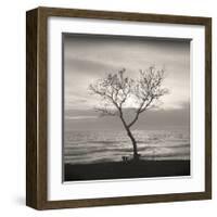 Tree, Study, no. 5-Andrew Ren-Framed Giclee Print