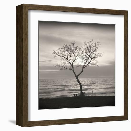 Tree, Study, no. 5-Andrew Ren-Framed Giclee Print