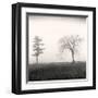 Tree, Study, no. 8-Andrew Ren-Framed Giclee Print