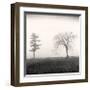 Tree, Study, no. 8-Andrew Ren-Framed Giclee Print