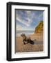 Tree Stump on the Beach, Ship Creek, West Coast, Tasman Sea, South Island, New Zealand-Rainer Mirau-Framed Photographic Print