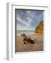 Tree Stump on the Beach, Ship Creek, West Coast, Tasman Sea, South Island, New Zealand-Rainer Mirau-Framed Photographic Print