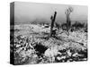 Tree Stump Where the Village of Lidice Once Stood, 1942-null-Stretched Canvas