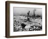 Tree Stump Where the Village of Lidice Once Stood, 1942-null-Framed Photographic Print