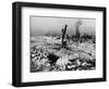 Tree Stump Where the Village of Lidice Once Stood, 1942-null-Framed Photographic Print