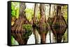 Tree Stumps-Bruce Nawrocke-Framed Stretched Canvas