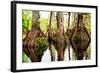 Tree Stumps-Bruce Nawrocke-Framed Art Print