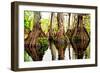 Tree Stumps-Bruce Nawrocke-Framed Art Print