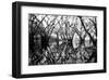 Tree Symphony-Jan Michael Ringlever-Framed Art Print