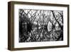 Tree Symphony-Jan Michael Ringlever-Framed Art Print