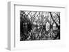 Tree Symphony-Jan Michael Ringlever-Framed Art Print