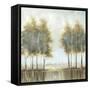 Tree Tales I-Sasha-Framed Stretched Canvas