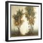 Tree Tales III-Sasha-Framed Giclee Print