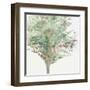 Tree Teal III-Allison Pearce-Framed Art Print