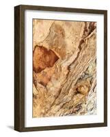 Tree Texture Triptych II-Norm Stelfox-Framed Photographic Print