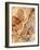 Tree Texture Triptych II-Norm Stelfox-Framed Photographic Print