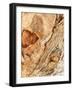 Tree Texture Triptych II-Norm Stelfox-Framed Photographic Print