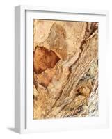 Tree Texture Triptych II-Norm Stelfox-Framed Photographic Print