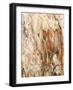 Tree Texture Triptych III-Norm Stelfox-Framed Photographic Print