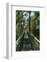 Tree top walk in Western Australia.-Natalie Tepper-Framed Photo