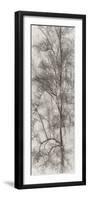 Tree Triptych I-Norm Stelfox-Framed Photographic Print