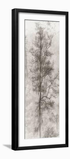 Tree Triptych II-Norm Stelfox-Framed Photographic Print