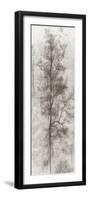 Tree Triptych II-Norm Stelfox-Framed Photographic Print