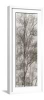 Tree Triptych III-Norm Stelfox-Framed Photographic Print