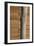 Tree Trunk Against Wood Clad Exterior-David Barbour-Framed Photo