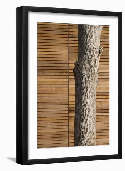 Tree Trunk Against Wood Clad Exterior-David Barbour-Framed Photo