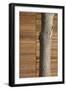 Tree Trunk Against Wood Clad Exterior-David Barbour-Framed Photo