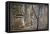 Tree Trunk at Lunuganga, Sri Lanka. Country Home of the Late Geoffrey Bawa Now a Boutique Hotel-Richard Bryant-Framed Stretched Canvas