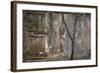 Tree Trunk at Lunuganga, Sri Lanka. Country Home of the Late Geoffrey Bawa Now a Boutique Hotel-Richard Bryant-Framed Photographic Print