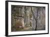 Tree Trunk at Lunuganga, Sri Lanka. Country Home of the Late Geoffrey Bawa Now a Boutique Hotel-Richard Bryant-Framed Photographic Print