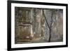 Tree Trunk at Lunuganga, Sri Lanka. Country Home of the Late Geoffrey Bawa Now a Boutique Hotel-Richard Bryant-Framed Photographic Print