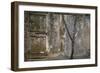 Tree Trunk at Lunuganga, Sri Lanka. Country Home of the Late Geoffrey Bawa Now a Boutique Hotel-Richard Bryant-Framed Photographic Print