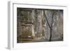 Tree Trunk at Lunuganga, Sri Lanka. Country Home of the Late Geoffrey Bawa Now a Boutique Hotel-Richard Bryant-Framed Photographic Print